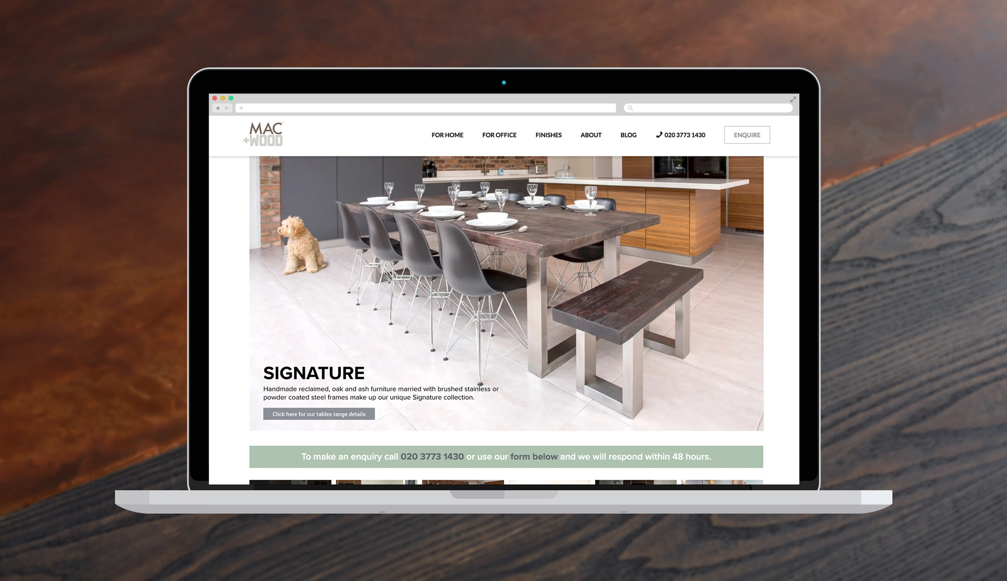 Website Design and Development
